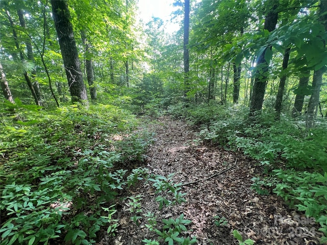 000 Laurel Thicket Ln, Brevard, NC 28712 - photo 7