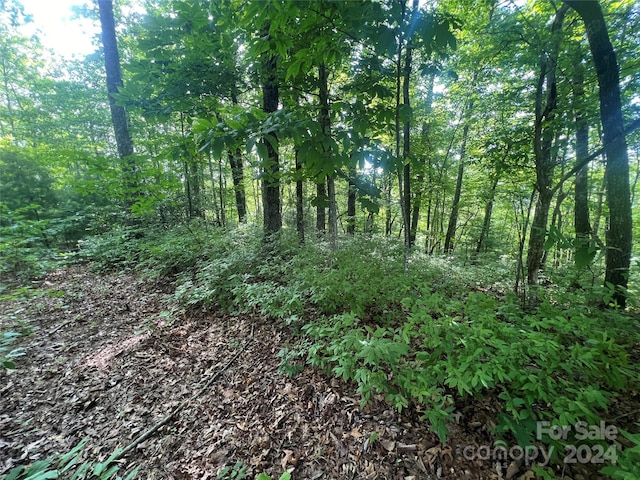 000 Laurel Thicket Ln, Brevard, NC 28712 - photo 8