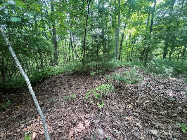 000 Laurel Thicket Ln, Brevard, NC 28712 - photo 9