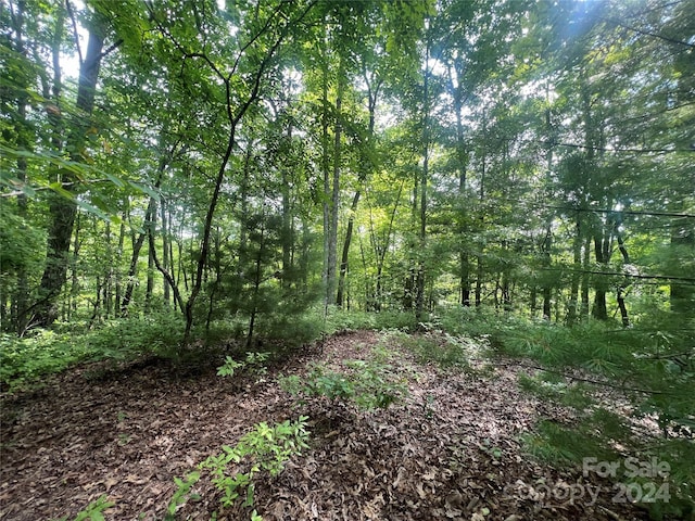 000 Laurel Thicket Ln, Brevard, NC 28712 - photo 10