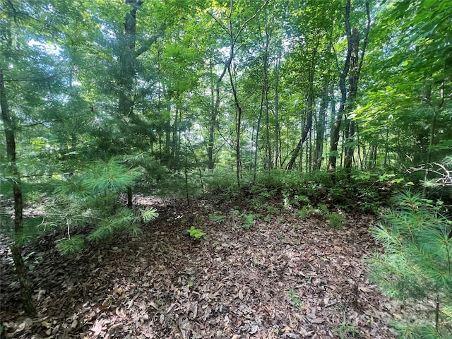 000 Laurel Thicket Ln, Brevard, NC 28712 - photo 11