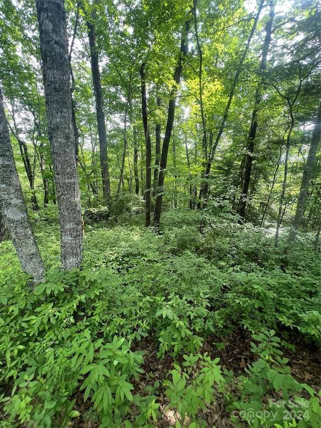 000 Laurel Thicket Ln, Brevard, NC 28712 - photo 13