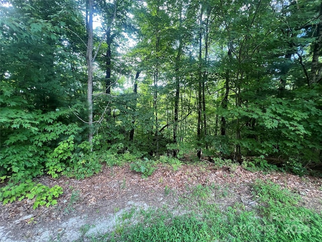 000 Laurel Thicket Ln, Brevard, NC 28712 - photo 14