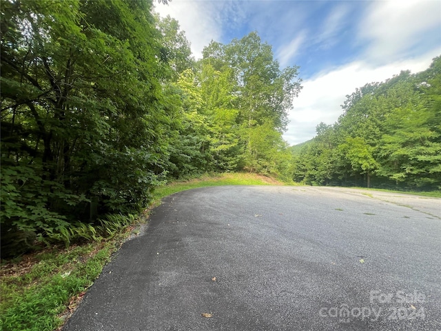 Listing photo 3 for 999 Laurel Thicket Ln, Brevard NC 28712