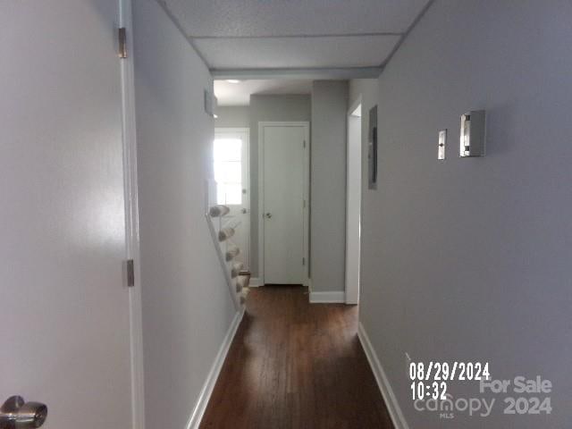 hallway featuring a drop ceiling and dark wood-type flooring