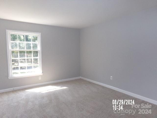 unfurnished room featuring carpet