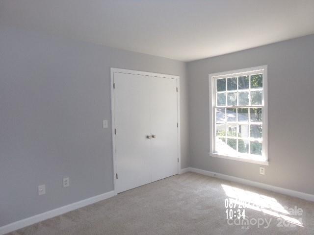 empty room featuring a wealth of natural light and light colored carpet