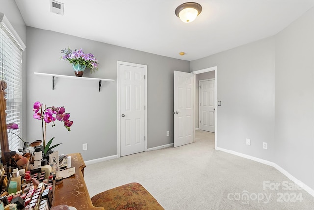 bedroom with carpet flooring