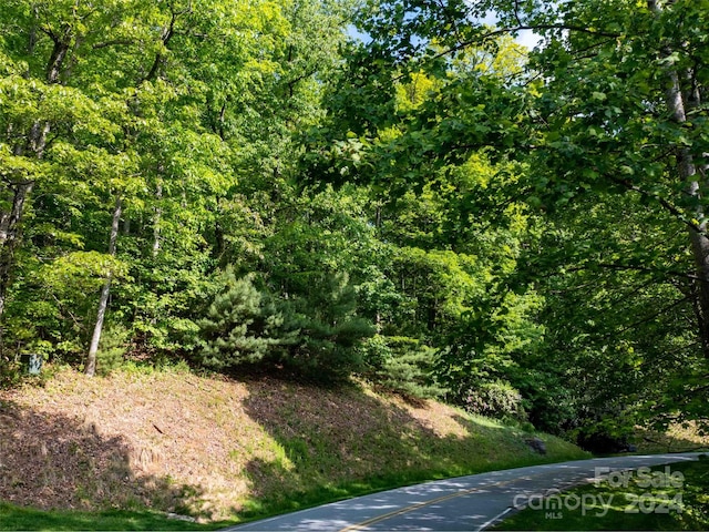 Listing photo 2 for 166 Chattooga Run Unit 293, Hendersonville NC 28739