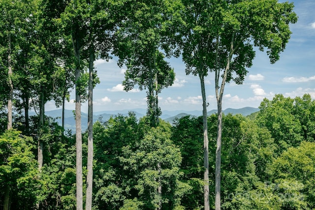 exterior space featuring a mountain view