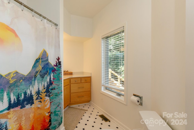 bathroom featuring vanity, toilet, and curtained shower