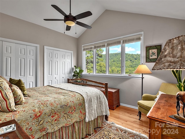 bedroom featuring light wood-type flooring, two closets, a ceiling fan, baseboards, and vaulted ceiling