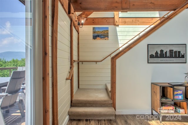 stairway with a mountain view, wood walls, and wood-type flooring