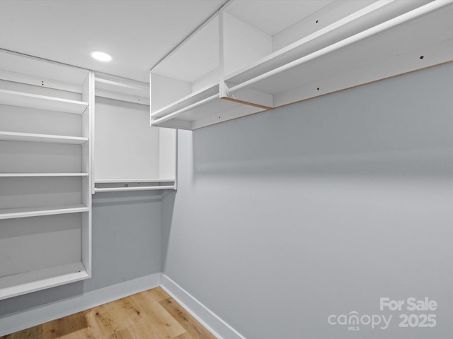 walk in closet featuring light hardwood / wood-style floors