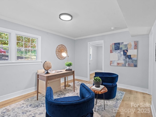 office with light wood-type flooring and crown molding