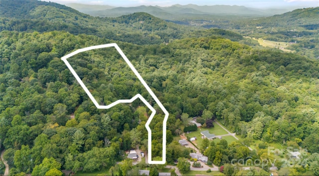 63 Rice Branch Rd, Asheville NC, 28804 land for sale