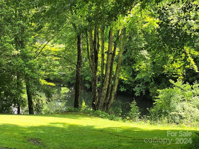 view of local wilderness