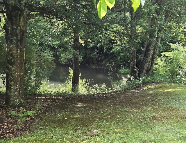 view of local wilderness with a water view