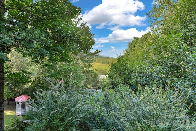 view of landscape