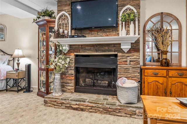 room details with a fireplace and carpet floors