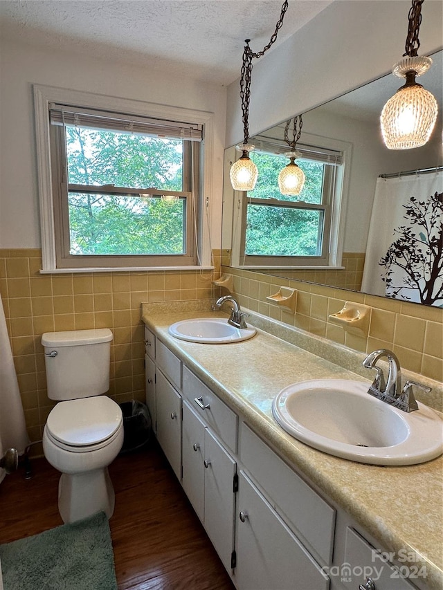 bathroom featuring a wealth of natural light, vanity, toilet, and backsplash