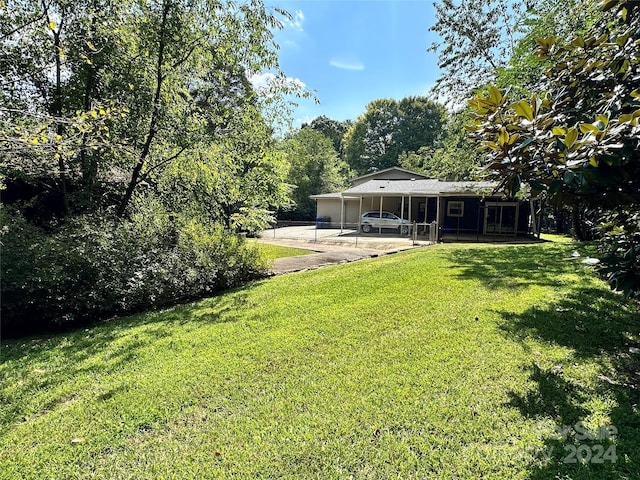 view of yard with a patio