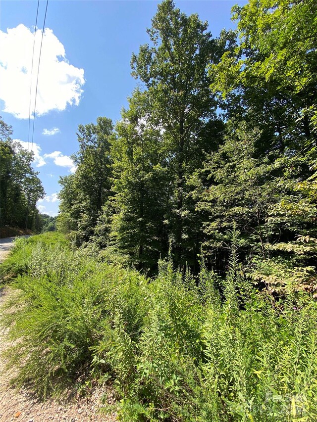 00 Woodchuck Ln, Marion, NC 28752