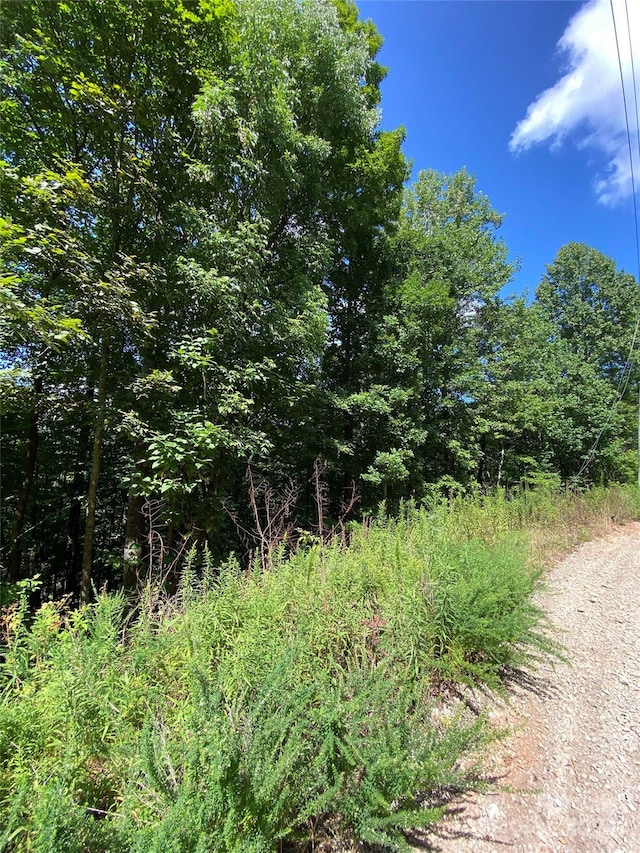 00 Woodchuck Ln, Marion, NC 28752