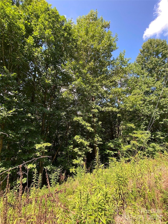 00 Woodchuck Ln, Marion, NC 28752