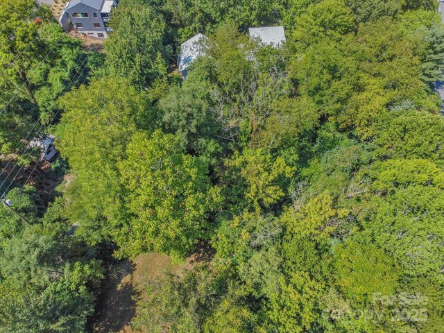 5 Club St, Asheville, NC 28801 - photo 3