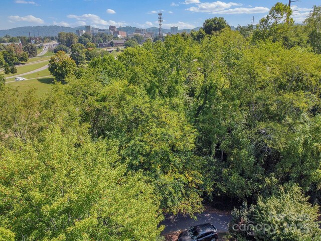 5 Club St, Asheville, NC 28801 - photo 7