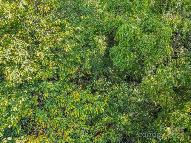 5 Club St, Asheville, NC 28801 - photo 10