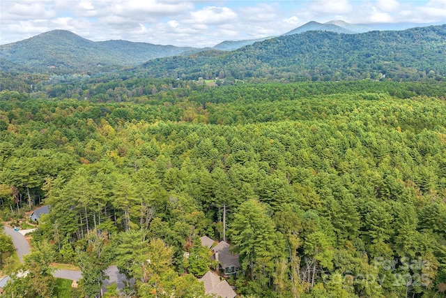 property view of mountains