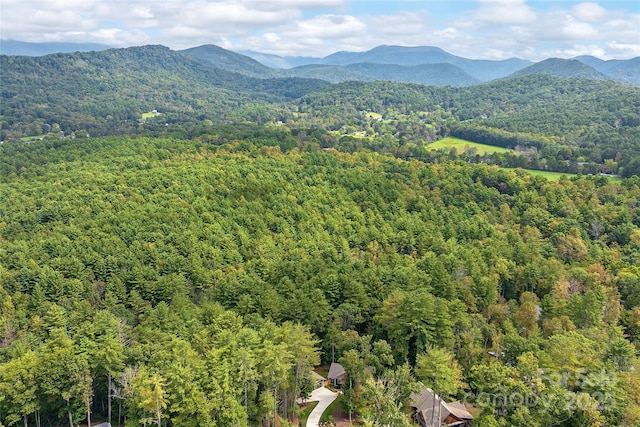 property view of mountains