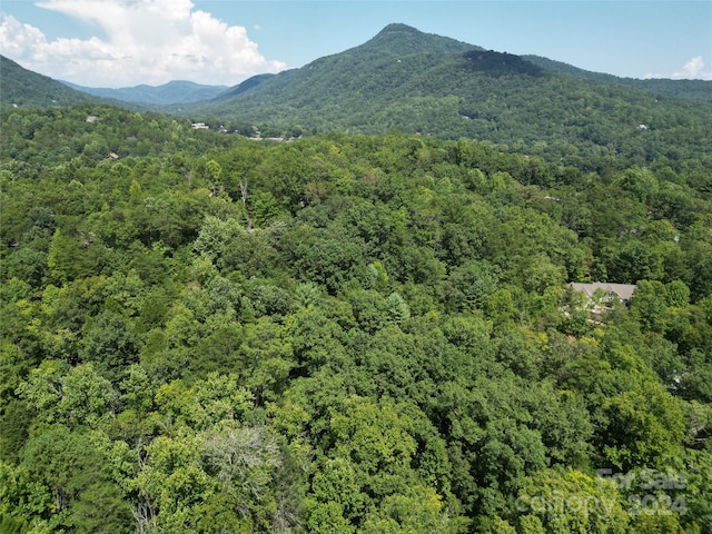 Listing photo 2 for LOT14 Rumbling Bald Rd, Lake Lure NC 28746