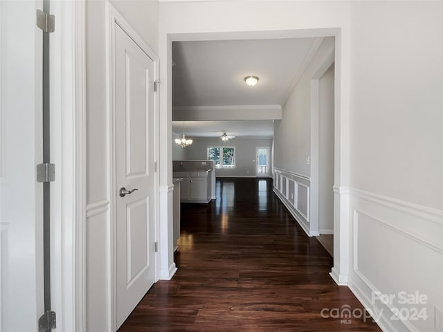 corridor with dark wood-type flooring, a decorative wall, crown molding, and a wainscoted wall