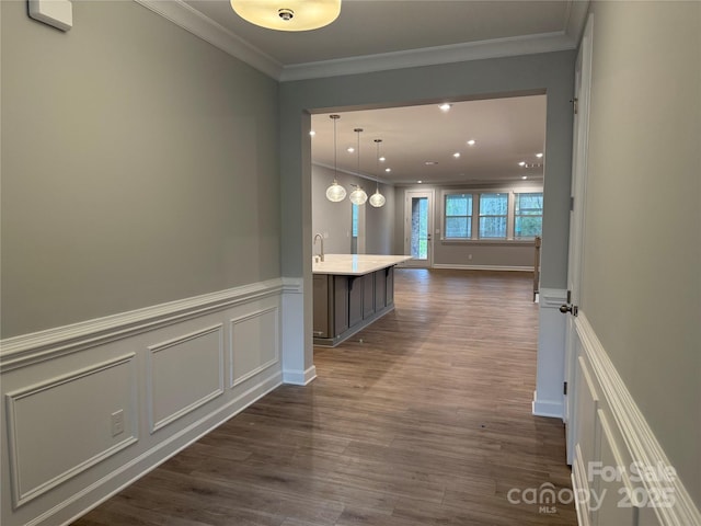 hall featuring sink, crown molding, and dark hardwood / wood-style floors