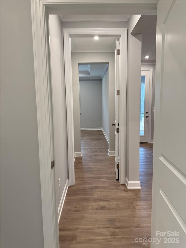 hall featuring dark wood-type flooring and crown molding