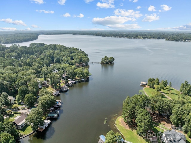 drone / aerial view with a wooded view and a water view