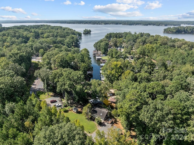 drone / aerial view featuring a water view and a view of trees