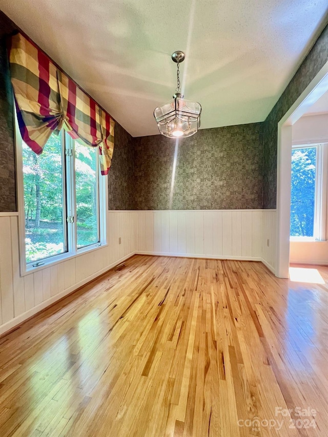 unfurnished dining area with hardwood / wood-style flooring and wainscoting