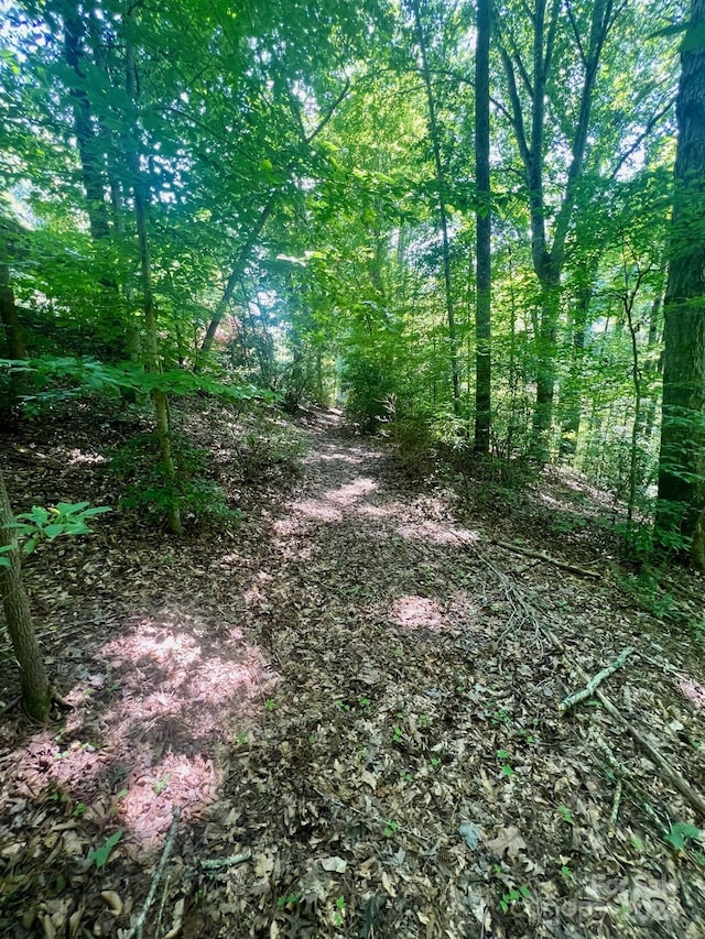 view of local wilderness featuring a forest view