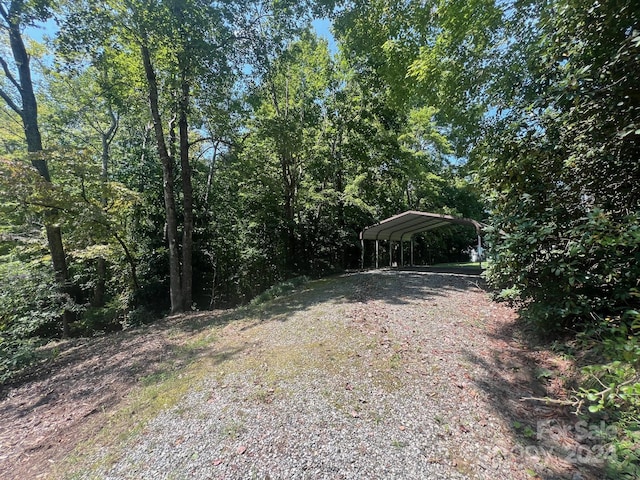 view of yard featuring a carport and driveway