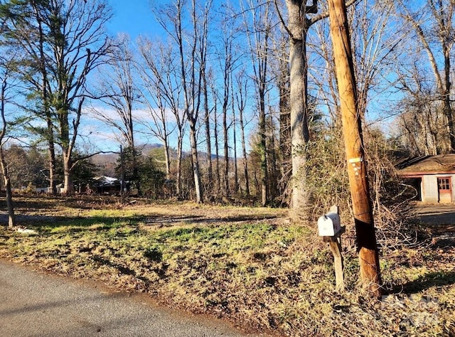 Listing photo 3 for 19 E Starnes Cove Rd, Asheville NC 28806