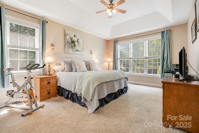 600 Vista Falls Rd, Mills River, NC 28759 - carpeted bedroom with a raised ceiling, baseboards, and a ceiling fan