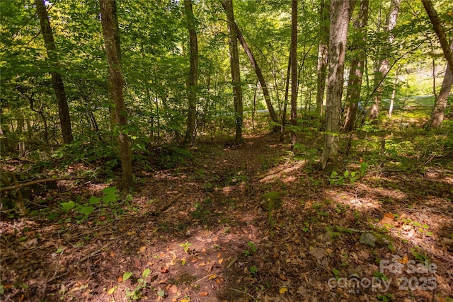 Listing photo 3 for 215 Martins Creek Rd, Barnardsville NC 28709