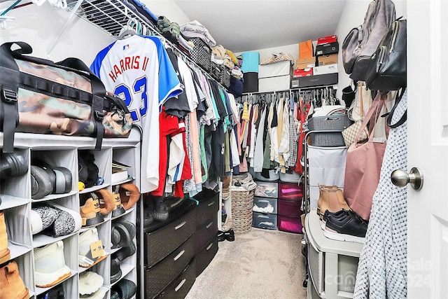 spacious closet featuring light carpet