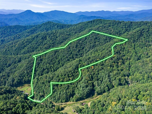 000 Byrd Creek Rd, Green Mountain NC, 28740 land for sale