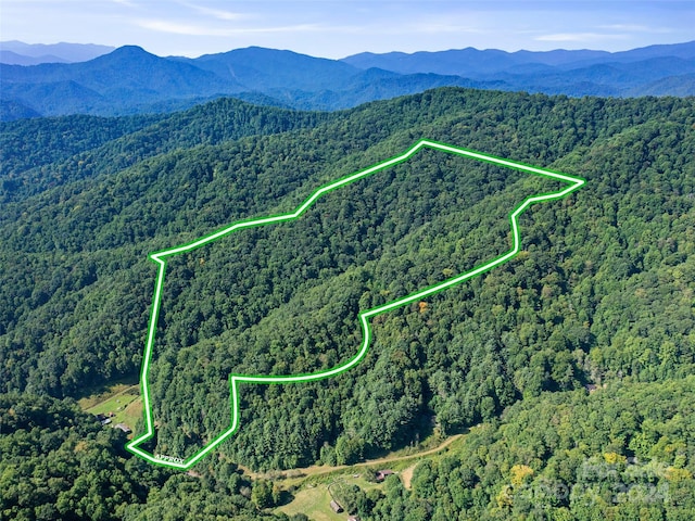 000 Byrd Creek Rd, Green Mountain, NC 28740 - photo 1