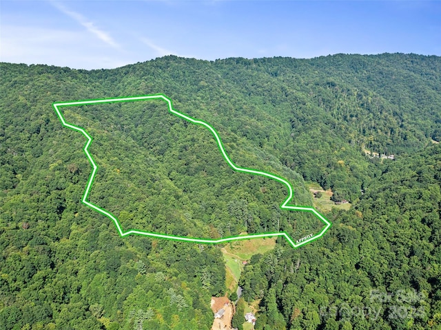 000 Byrd Creek Rd, Green Mountain, NC 28740 - photo 2